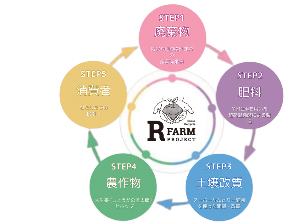 R FARM PROJECT (29)